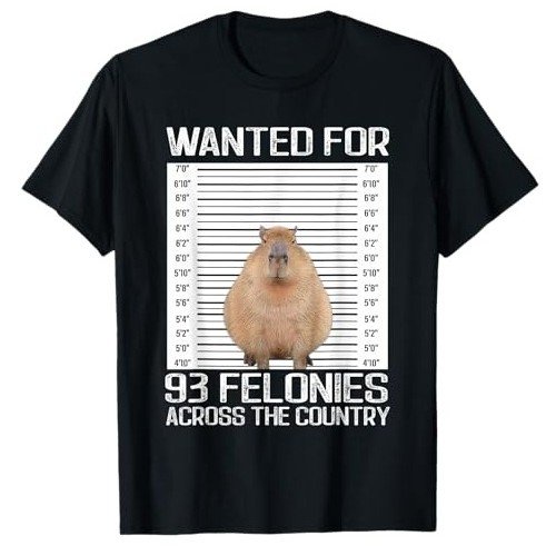 Remera de Capibara imagen cuadrada