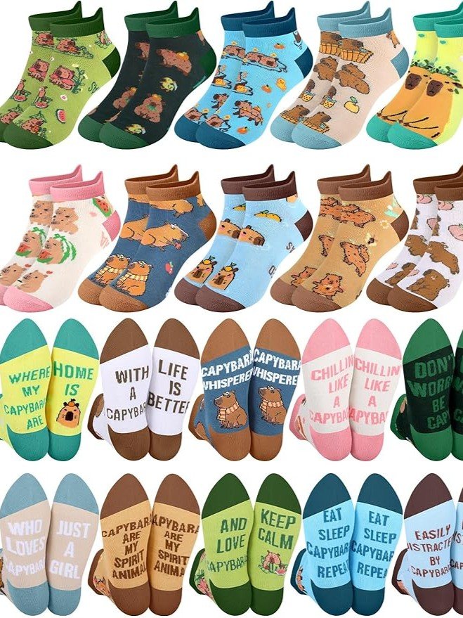 10 Pares de Medias con de Colores con Frases de Capibaras